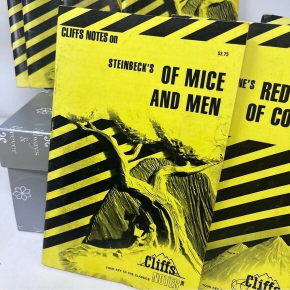 Cliffs Notes Book Bundle Vintage Novels Reading Classics - Picture 8 of 10